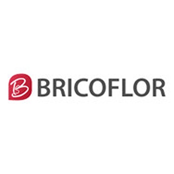 Bricoflor code promo