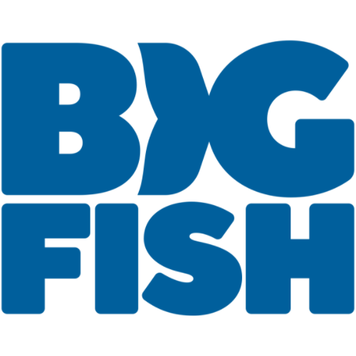 Big fish games codes promo