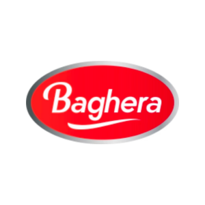 Baghera codes promo