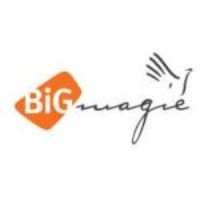 Bigmagie codes promo