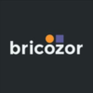 Bricozor codes promo