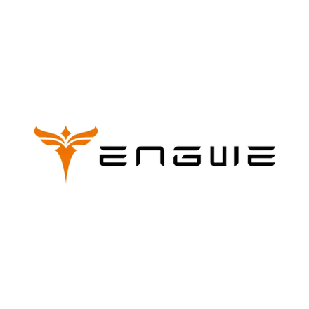 Engwe Bikes codes promo