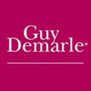 Guy Demarle codes promo