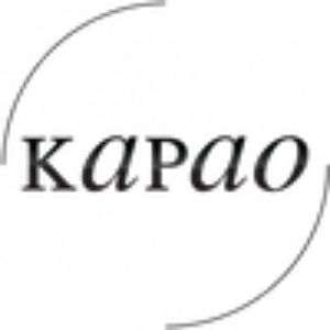 Kapao codes promo