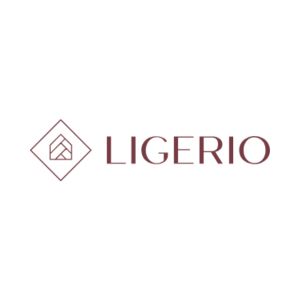 Ligerio codes promo