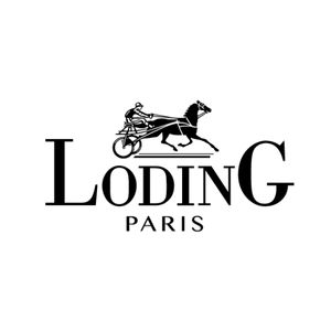 Loding codes promo