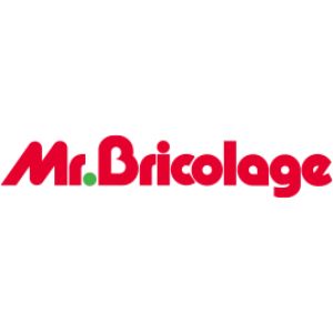 Mr. Bricolage code promo